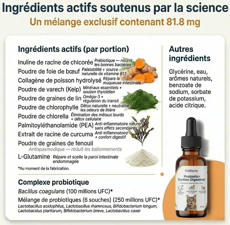 Probiotic+ Gouttes Digestives FéliBiome