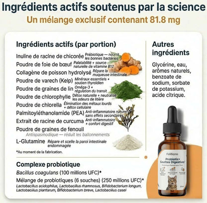 Probiotic+ Gouttes Digestives FéliBiome