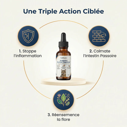 Probiotic+ Gouttes Digestives FéliBiome