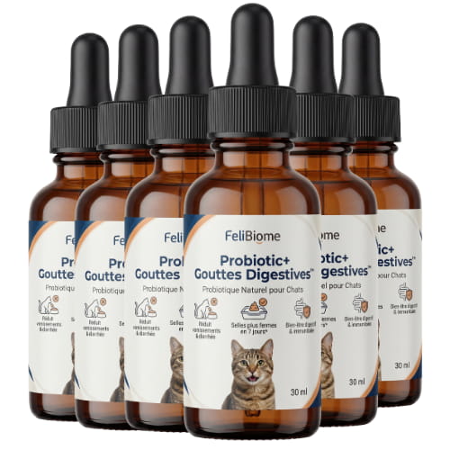 Probiotic+ Gouttes Digestives FéliBiome